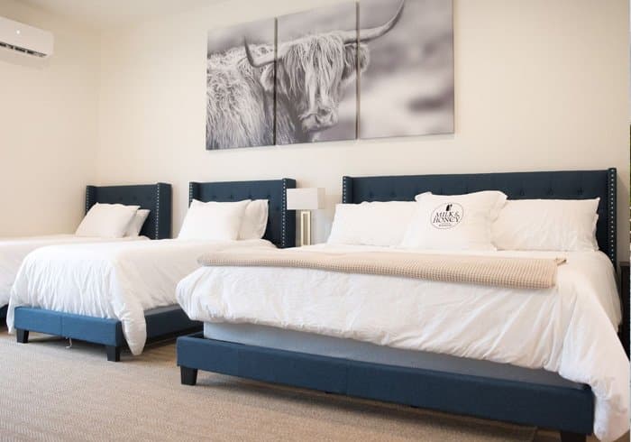 Promised Land Village interior 8